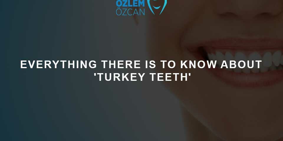 Everything Turkey Teeth