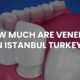 how much are veneers in istanbul turkey