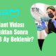 İmplant Vidası Takıldıktan Sonra Neden 3 Ay Beklenir
