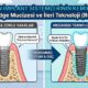 megagen implant sistemlerinin kemik uyumu